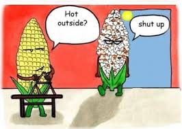 Hace calor afuera? Cállate la boca!!!