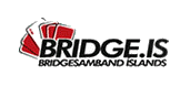 bridge islandia