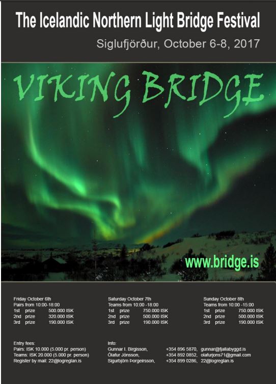 Viking Bridge 2017