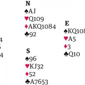 bridgehand3011-001