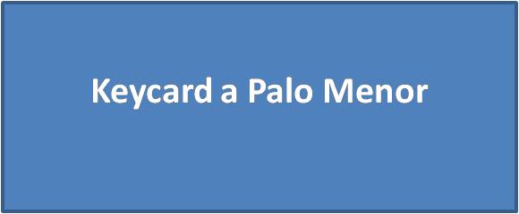 Keycard a Palo Menor