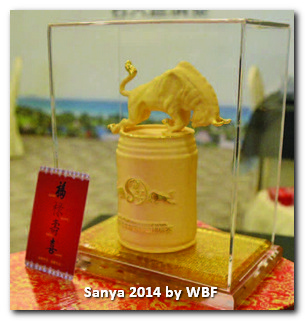 Sanya 2014: Gold Red Bull Trophy